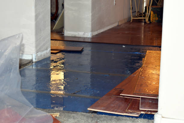 Professional Basement Flood Cleanup technician working in Lyman, MS