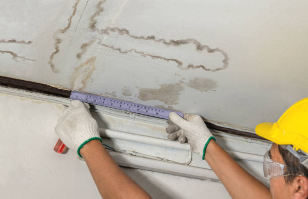 Reliable Basement Flood Cleanup contractor in Lyman, MS by Aqua Guard Water Damage